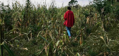 Tesouro suspende contratação de crédito rural subsidiado após alta da Selic