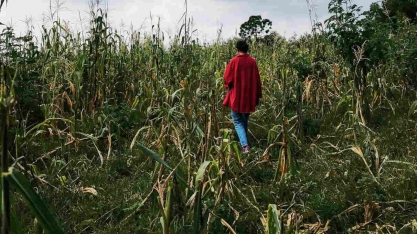 Tesouro suspende contratação de crédito rural subsidiado após alta da Selic