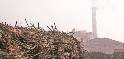 Programa de etanol da Índia terá maior contribuição de grãos, diz adido do USDA