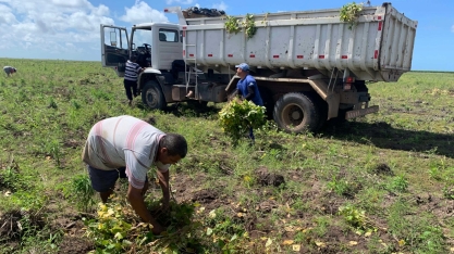 Projeto apoiado pela Usina Coruripe é destaque no mais importante prêmio ambiental do Brasil