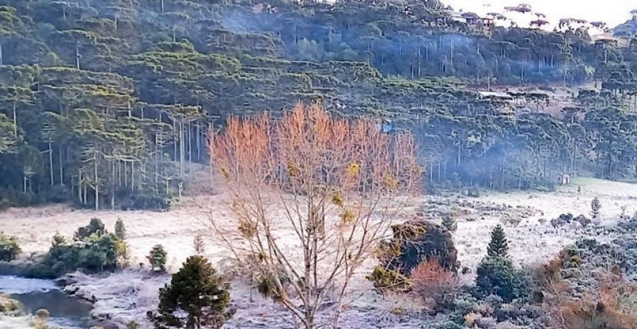 Foto: Sérgio Felipe Rodrigues - São Joaquim- SC