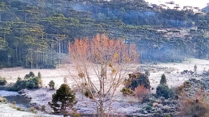 Agro: Frio do outono deve chegar mais cedo que o normal em 2022