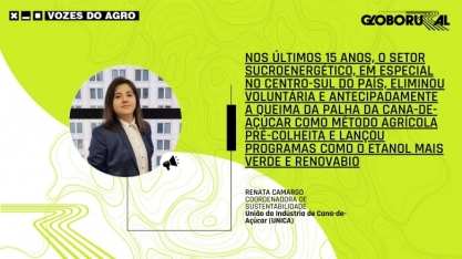 Desconstruindo preconceitos: a sustentabilidade do setor sucroenergético