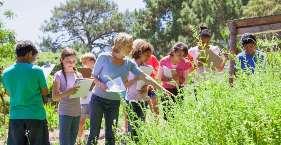 Movimento “De Olho no Material Escolar” quer atualizar a discussão sobre o agronegócio na volta às aulas. Alistair Berg/Getty Images