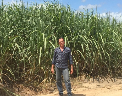 Alexandre Andrade Lima lembra que a Coaf funciona em regime de cooperativa aberta