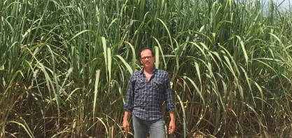 Usina Coaf se prepara para concluir safra e pagar CBios aos canavieiros 