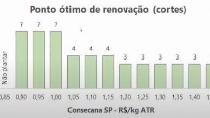 Sem tecnologia para aumento de longevidade do canavial, margem de contribuição despenca e ponto ideal de renovação fica entre o 3º e 4º corte