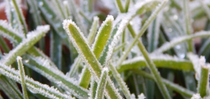 Onda de frio pode provocar geada até em áreas do Norte do Brasil