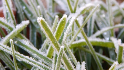 Onda de frio pode provocar geada até em áreas do Norte do Brasil