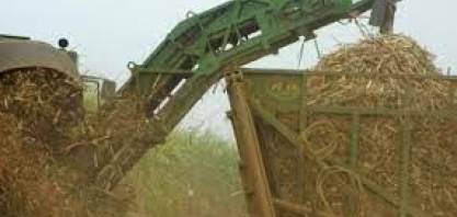 Contra custos altos, usinas trocam máquinas por pessoas e buscam adubo orgânico
