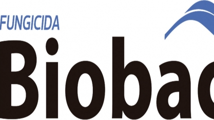 UPL lança nematicida microbiológico Biobac para cana-de-açúcar