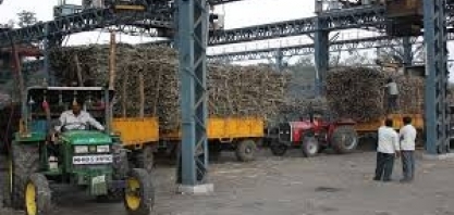 Açúcar: Isma eleva estimativa para safra 2021/22 da índia