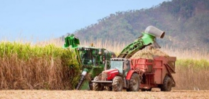 Safra acumula mais de 12,8 mi de toneladas de cana processadas
