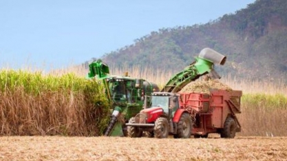 Safra acumula mais de 12,8 mi de toneladas de cana processadas