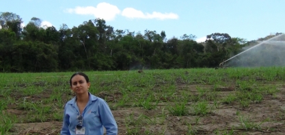 Usina Coruripe começou a irrigar seus canaviais há mais de 30 anos