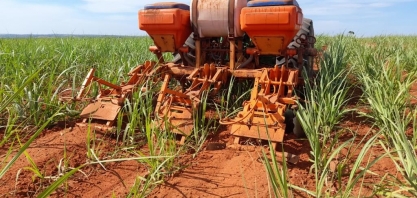 Operação de quebra-lombo nivela o solo nas entrelinhas da cana-planta com o objetivo de preparar a área para a colheita mecanizada