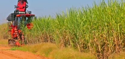 Usinas do Norte/Nordeste aceleram ritmo de moagem de cana na 1ª quinzena de 2022