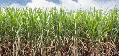 Asplana: confira a ATR do mês de Janeiro