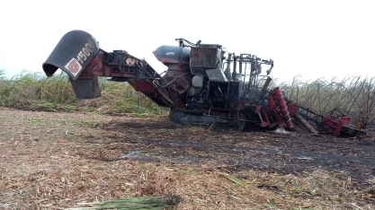 Incêndios em colhedoras de cana são frequentes, mas podem ser evitados