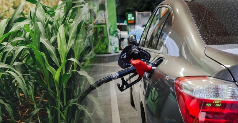 Em 2020, o bioetanol substituiu 5,2% da gasolina no âmbito mundial, enquanto o biodiesel substituiu 3,5% do diesel fóssil.