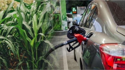 Peritos destacam o papel da agricultura na descarbonização do transporte por meio dos biocombustíveis