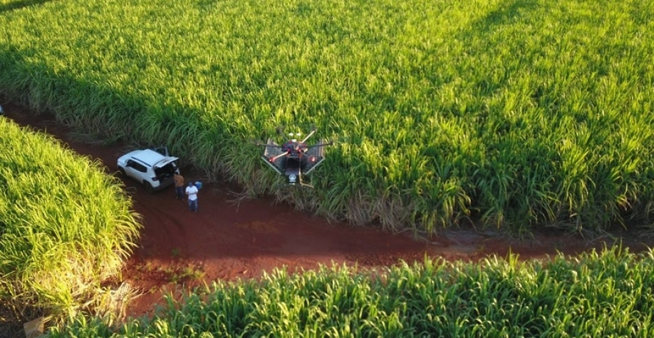 Drone utilizado no controle biológico. A distribuição aérea, que obedece a um planejamento georreferenciado para a melhor eficiência de localização, garante resultados adequados ao manejo. (Foto: Divulgação)
