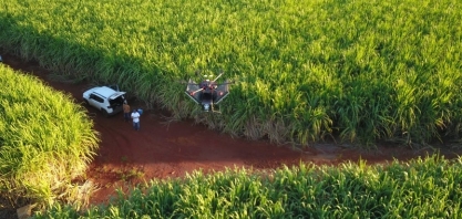 BP Bunge Bioenergia amplia uso de biofertilizantes em canaviais