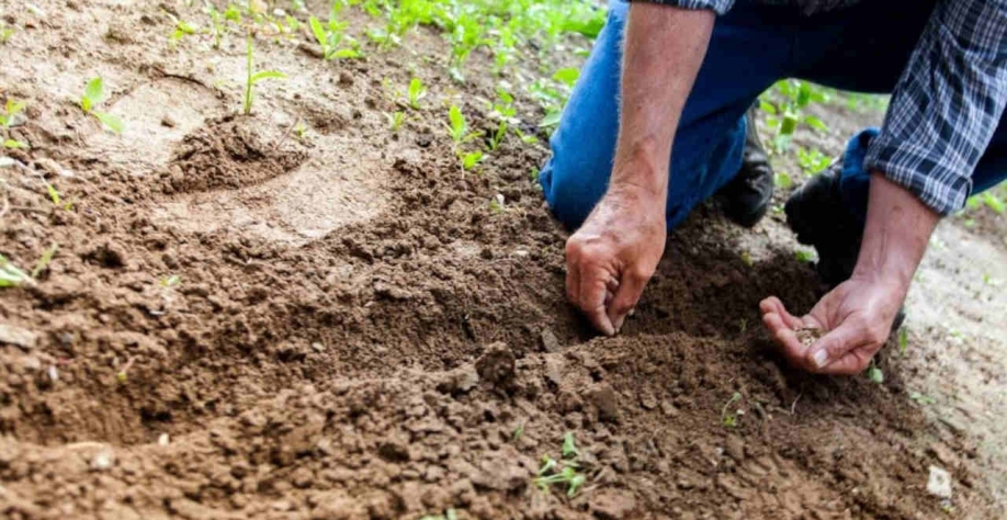 A produção agrícola já conta com menos crédito rural subsidiado para pré-custeio da safra 22/23