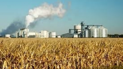 Milho/USDA: uso para etanol nos EUA aumenta 4% em dezembro, para 12,34 milhões de toneladas