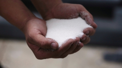 Usinas do Brasil aceleram negócios e fixam 2,9 mi t de açúcar em janeiro, diz Archer