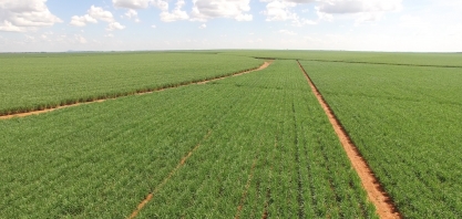 FMC traz a união de tecnologia e inovação à serviço do campo durante a Coplacampo 2022