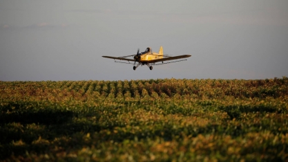 Agricultores enfrentam problemas nas entregas de herbicidas e citam riscos de desabastecimento