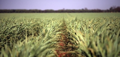 BrasilAgro reverte prejuízo trimestral e volta a ter lucro