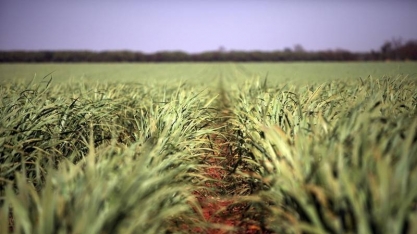 BrasilAgro reverte prejuízo trimestral e volta a ter lucro