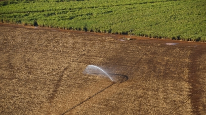 Por meio do Programa ReduZa, Raízen garante uso eficiente da água em suas operações