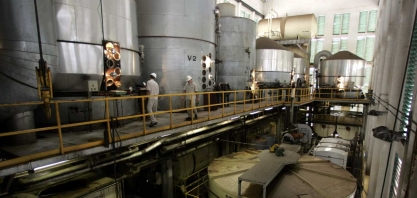 Bagaço de cana vai ajudar Brasil no maior avanço em cogeração de energia desde 2015