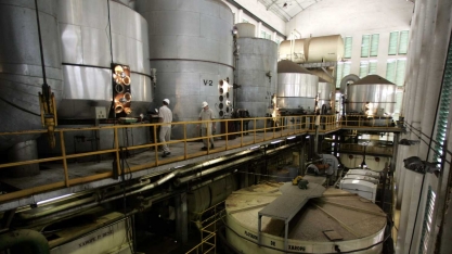 Bagaço de cana vai ajudar Brasil no maior avanço em cogeração de energia desde 2015