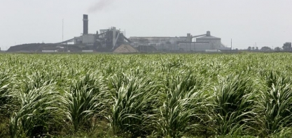 Rússia investiga aumentos de preços de açúcar e escassez ‘injustificada’