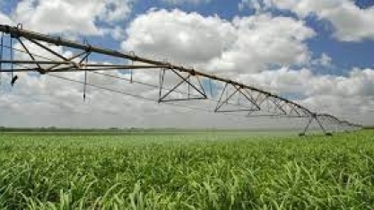 Irrigação de cana-de-açúcar: um novo tempo