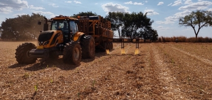 BP Bunge Bioenergia adota manejo de mitigação de déficit hídrico visando aumento de produtividade dos canaviais