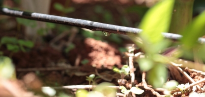 Dia Mundial da Conservação da Água: Irrigação tecnificada garante uso consciente da água e aumento de produtividade