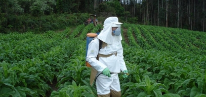 País precisava de um programa para qualificar aplicadores de agroquímicos, salienta coordenador da Unidade de Referência