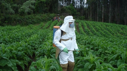 País precisava de um programa para qualificar aplicadores de agroquímicos, salienta coordenador da Unidade de Referência