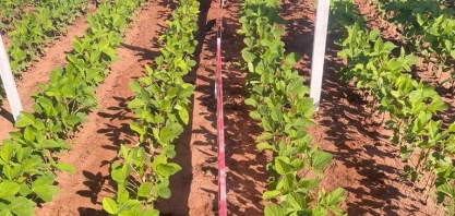 FMC reforça a importância do manejo correto na soja para resultado com produtividade, durante o Rally da Soja