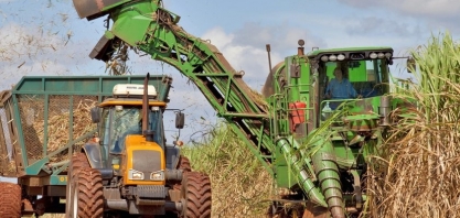 Cresce participação de fornecedores na quantidade de cana processada na safra 21/22