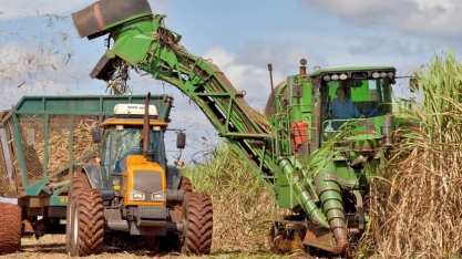 Cresce participação de fornecedores na quantidade de cana processada na safra 21/22