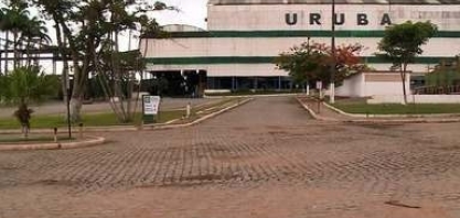 Produtores de cana do Vale do Satuba comemoram safra