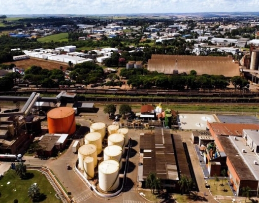 Foto: Canal Rural/reprodução