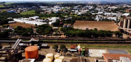 Geração de bioeletricidade de cana cresce 365% em MS