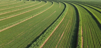 A meiosi emplaca na Usina Atena